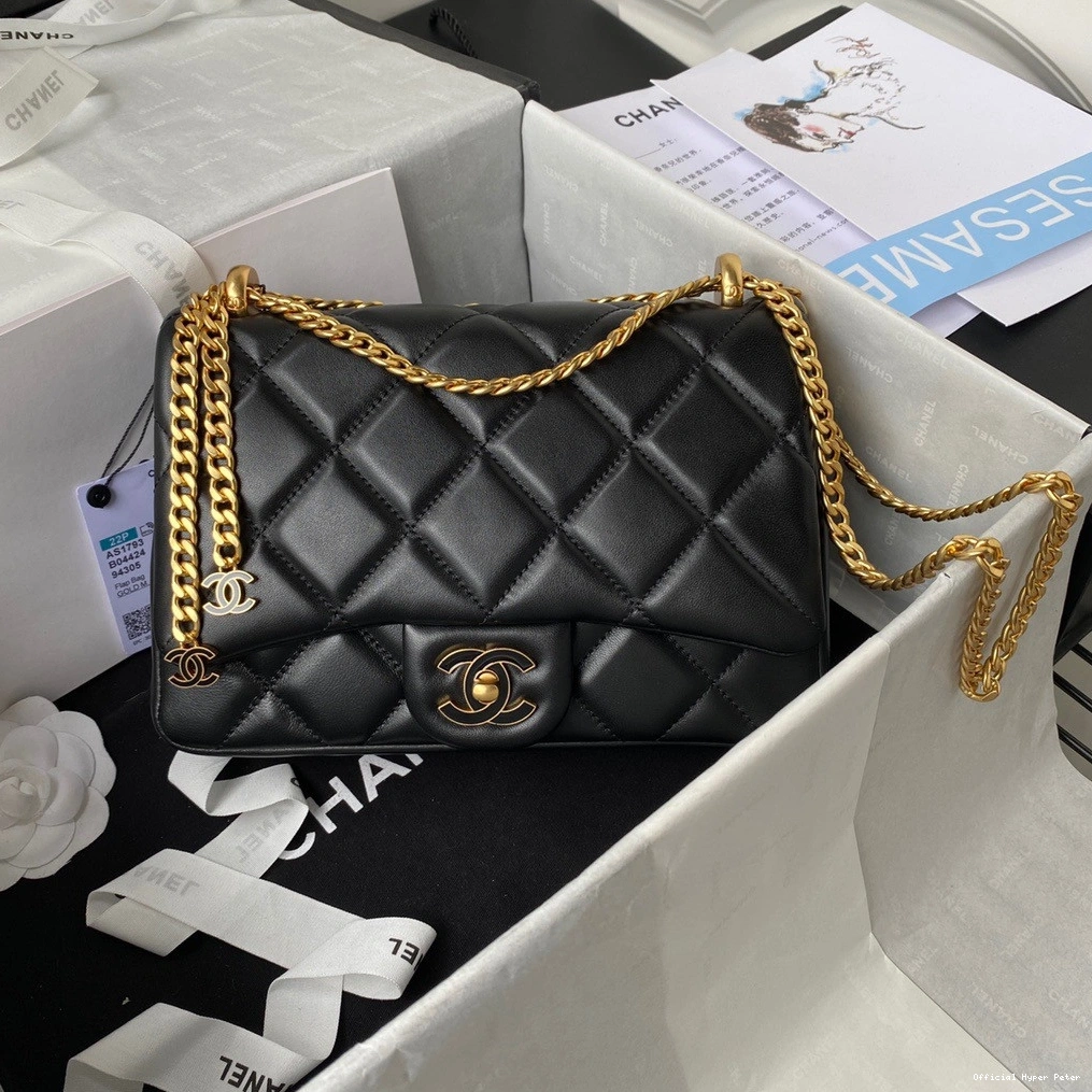 Hyper Peter FLAP BAG CHANEL 0811